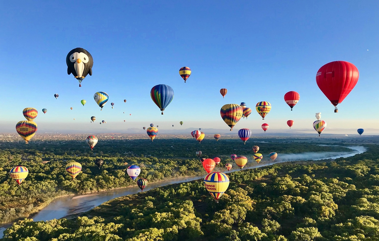Albuquerque, NM